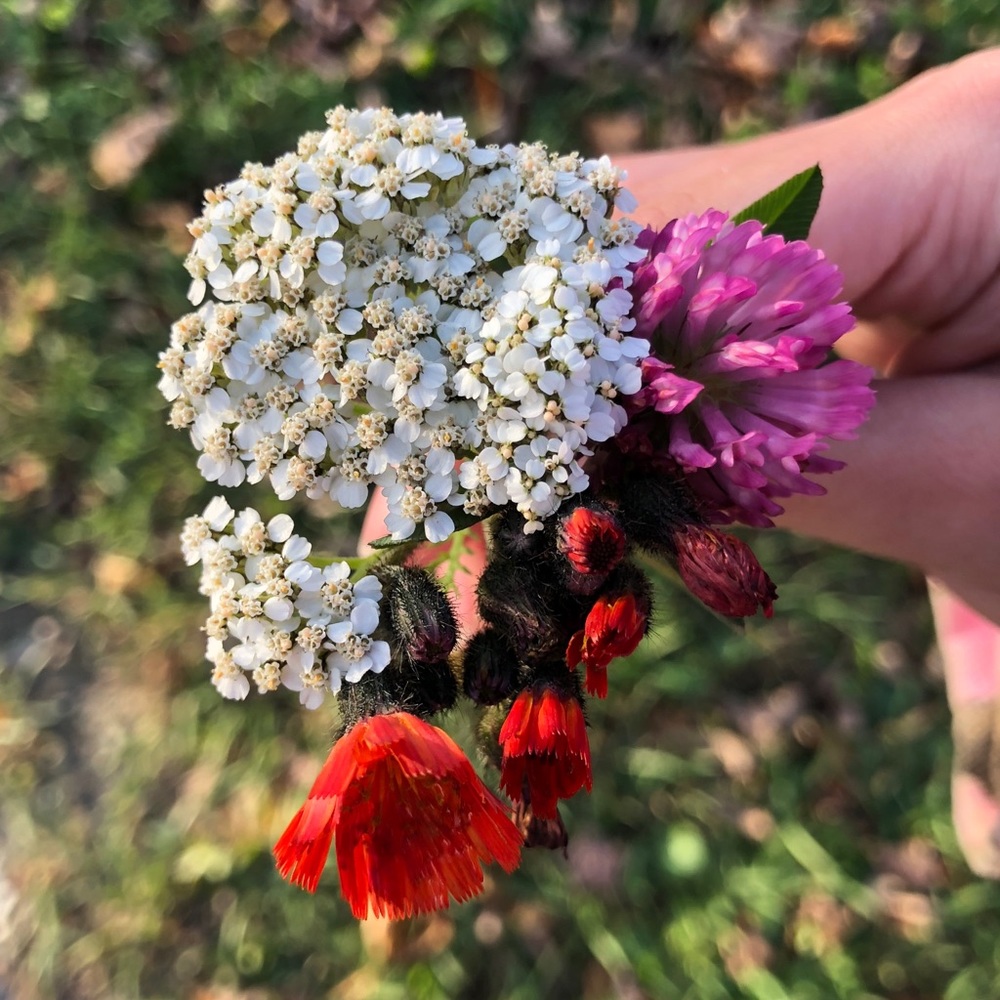 Meet your Posher, Erin